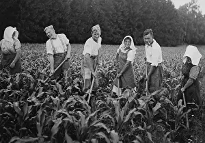 Fieldwork: Members of the RAD during field work, 1939
