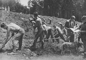 Landshut: Members of Rreiwlliger Arbeitsdienst during reforestation