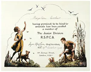 Rspca: Membership Certificate R.S.P.C.A