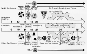 Appropriate: Membership in the NSDAP subgroups by age