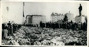 Allee: Memorials - Monuments - Museums - Parks - Statues