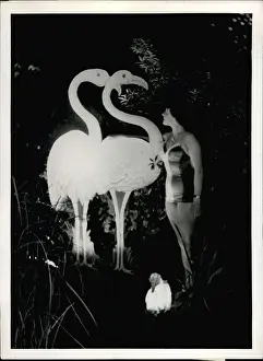 Flamingoes: Memorials - Monuments - Museums - Parks - Statues