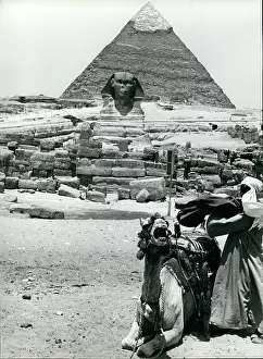 U.a.r: Memorials - Monuments - Museums - Parks - Statues