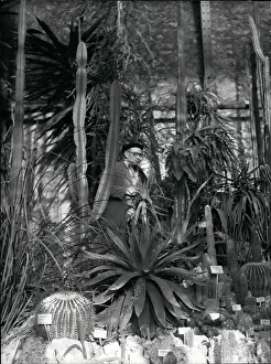 Plantes: Memorials - Monuments - Museums - Parks - Statues
