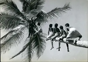 Kerala: Memorials - Monuments - Museums - Parks - Statues