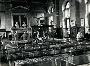 Locality: Memorials - Monuments - Museums - Parks - Statues