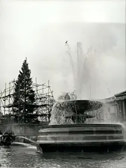 60ft: Memorials - Monuments - Museums - Parks - Statues