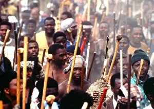 Assegais: Men, armed with traditional weapons, march though