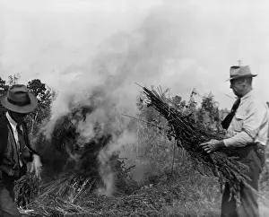 Narcotics: Two men burning marijuana in field in Garner ?