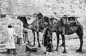 Cistern: Men with camels at a cistern, Bethlehem