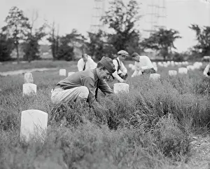 Tombstones: Men - Cemetery - Neglect - Arlington