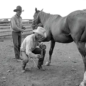 Wolcott: Men - Cowboys - Ranch - Horse
