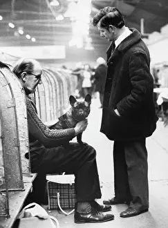 Compartments: Two men and a dog, Manchester Dog Show