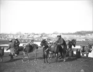 Xinjiang: Men with donkeys in Kashgar, western China