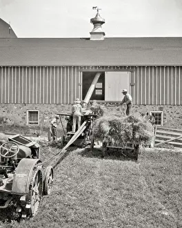 Hayloft: Three Men Farm Workers Loading Hay Into Barn Using