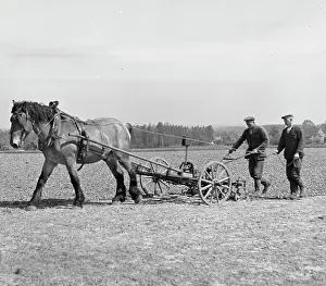 Tony Boxallfrps: Two men in a field with a horse and plough
