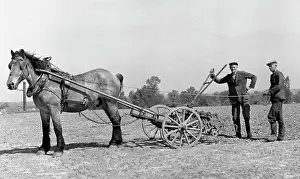 Tony Boxallfrps: Two men in a field with a horse and plough