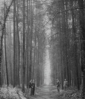 Bere: Four men in Forest of Bere, Hampshire, England