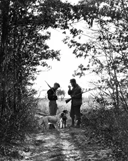 Shotguns: Two Men Hunters Anonymous Silhouetted with Dogs on