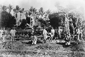 Helpless: Three men kneel before their open graves on Guam
