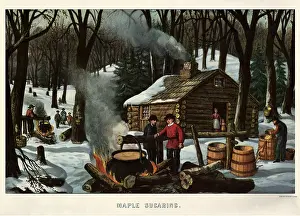 Boiling: Men Making Maple Syrup in Woods