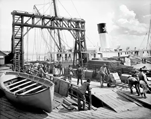 Longshoremen: Men - occupations - cargo - transport - New Orleans