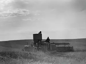 Wolcott: Men - Occupations - Farmers - Wheat