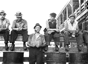 Stockyards: men - occupations - stockyards - Chicago