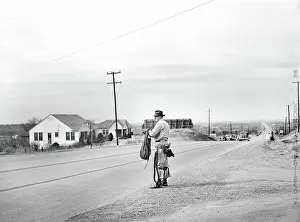 Lineman: Men - Occupations - Telephone Linemen