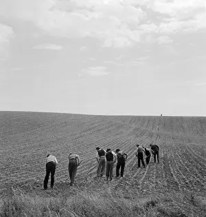 Hoes: Men Ploughing Field
