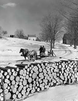 Frigid: Two Men Riding on Firewood Sleigh Pulled by Team of Horses