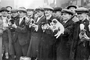 Buyers: MEN SELL PUPS CLUB-ROW