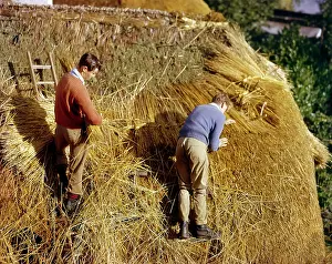Penwith: Two men thatching a roof, Lamorna Cove, Cornwall