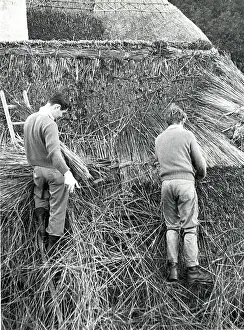 Penwith: Two men thatching a roof, Lamorna Cove, Cornwall