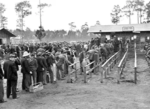 Starke: Men - unemployment - social issues - Florida