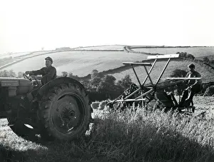 Farmhand: Men using a reaping machine at harvest time, Cornwall