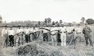 Scythes: Twelve men went to mow
