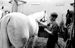 Horseguards: Men at work in a stable
