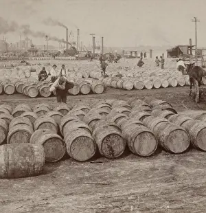 Boars: Men work among thousands of barrels of sugar