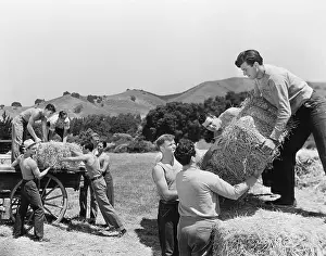 Employ: Men working on a farm loading hay