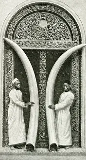 Tusks: Men of Zanzibar holding large tusks, Tanzania, East Africa