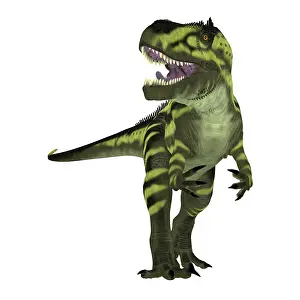 Genus: A menacing Torvosaurus dinosaur