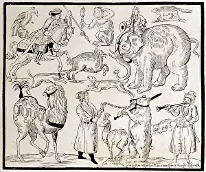 Chamois: Menagerie