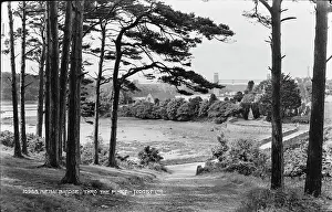 Menai Bridge Through the Pines