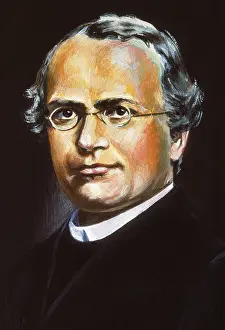 Mendel: Mendel, Gregor Johann (1822-1884)