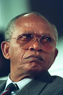Mendi: Mendi Msimang