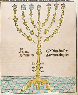 Candelabrum: Menorah. Engraving