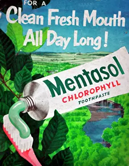 Dental: Mentasol chlorophyll toothpaste
