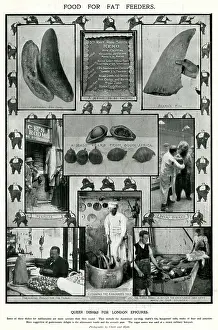 Kangaroos: Menu for London epicures 1906