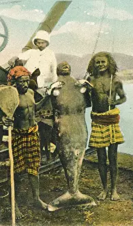 Manatees: MER-PEOPLE/LOOK-ALIKES